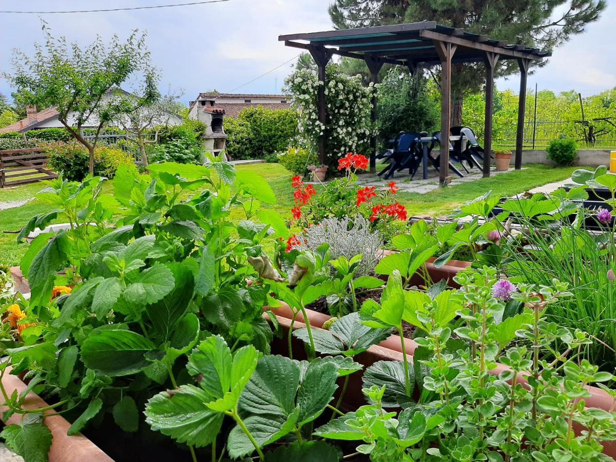Vila Cascina Teresina Monferrato Piscina Cortazzone Exteriér fotografie